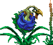 (call this my second public apology to Ying Girl.)